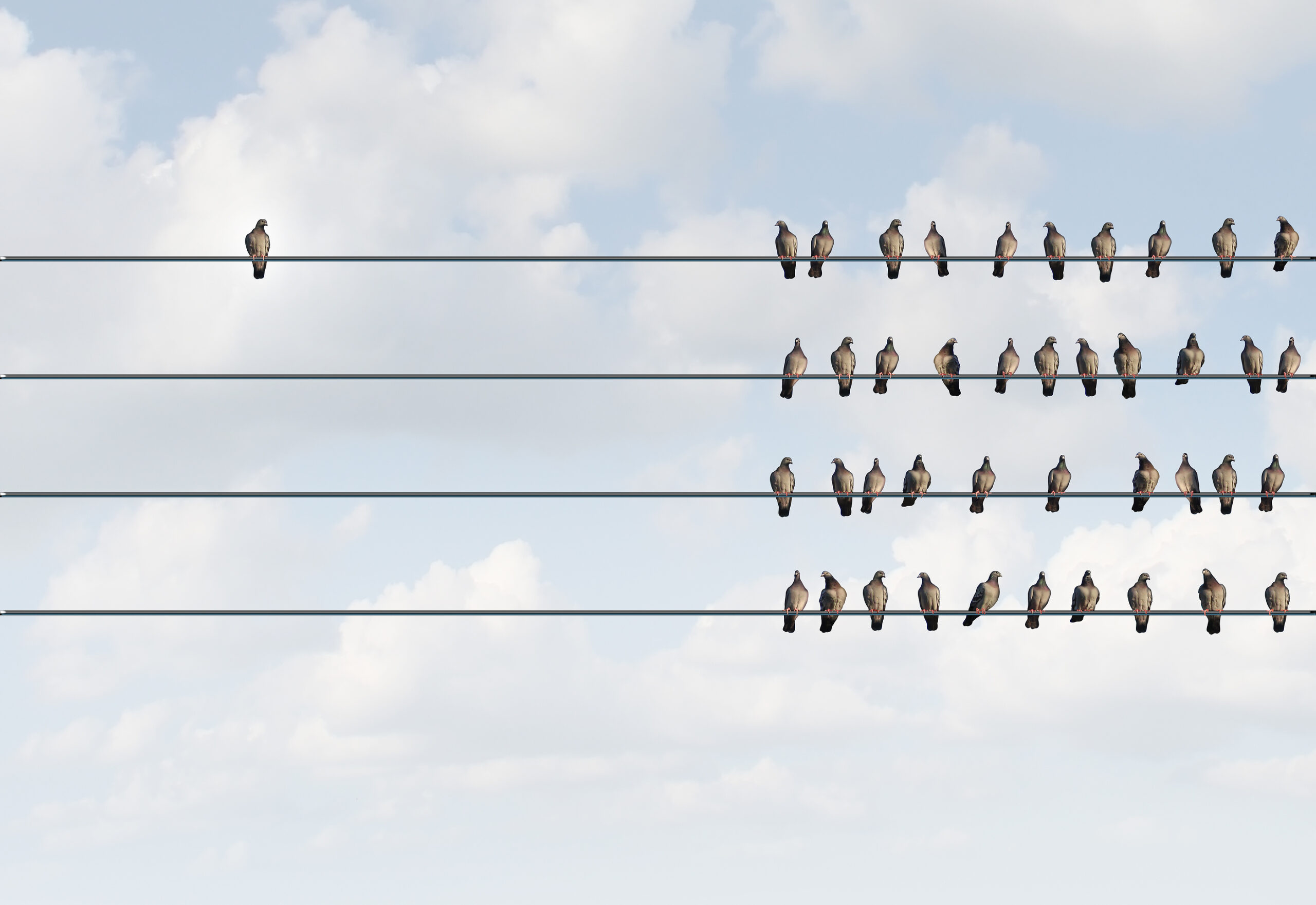 Birds Grouped on Wires with One Bird by Itself "Individuality"